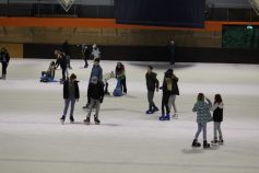 20170203eislaufen2