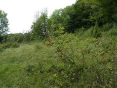 Naturschutzgebiet Kornberg. Foto: Rudi Arndt