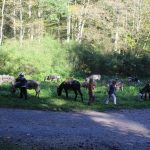 20171014eseltrekking2
